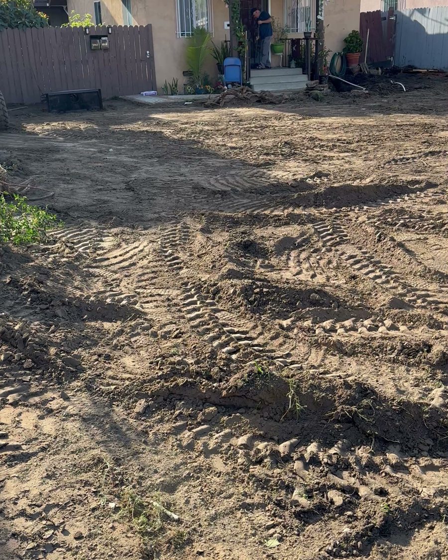 Before: the empty back of the lot behind the triplex