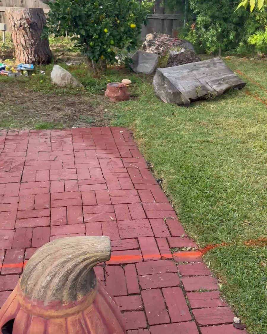 Before: the backyard with lawn and a brick path