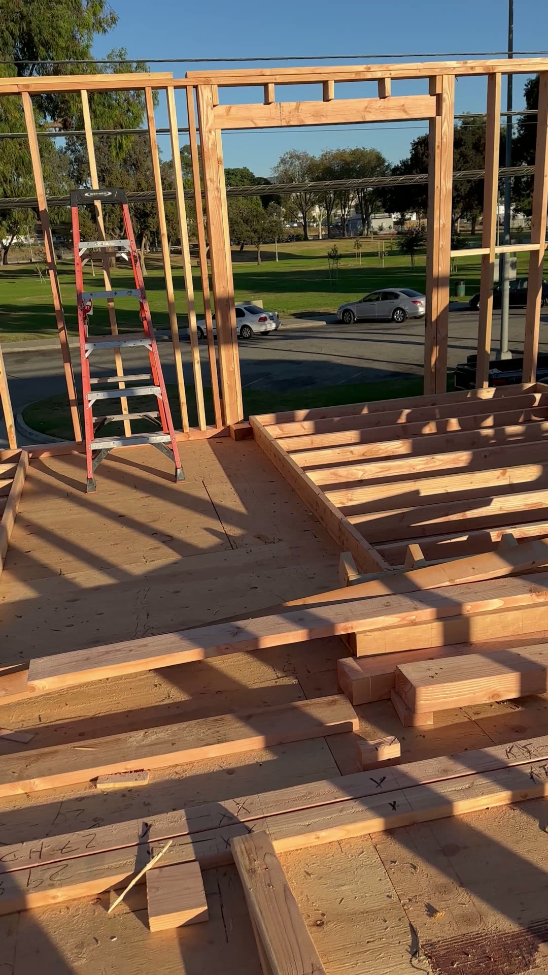 Window and door openings framed